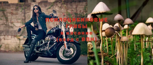 трава Арсеньев